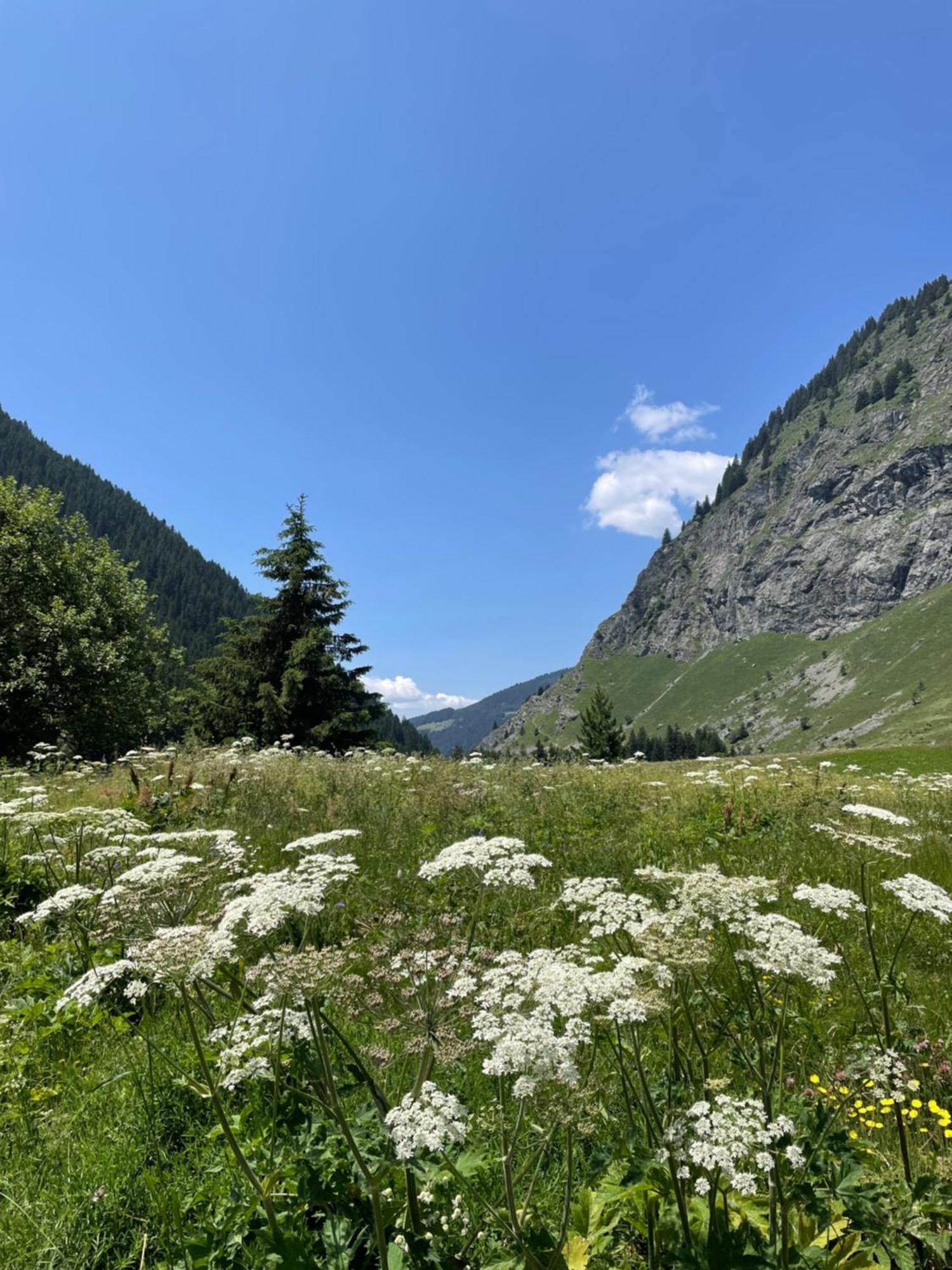 T2 Vue Sur Le Parc De La Vanoise La Plagne Exterior foto